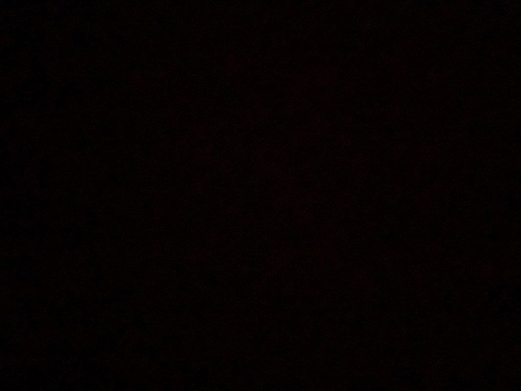 زياد زهراني