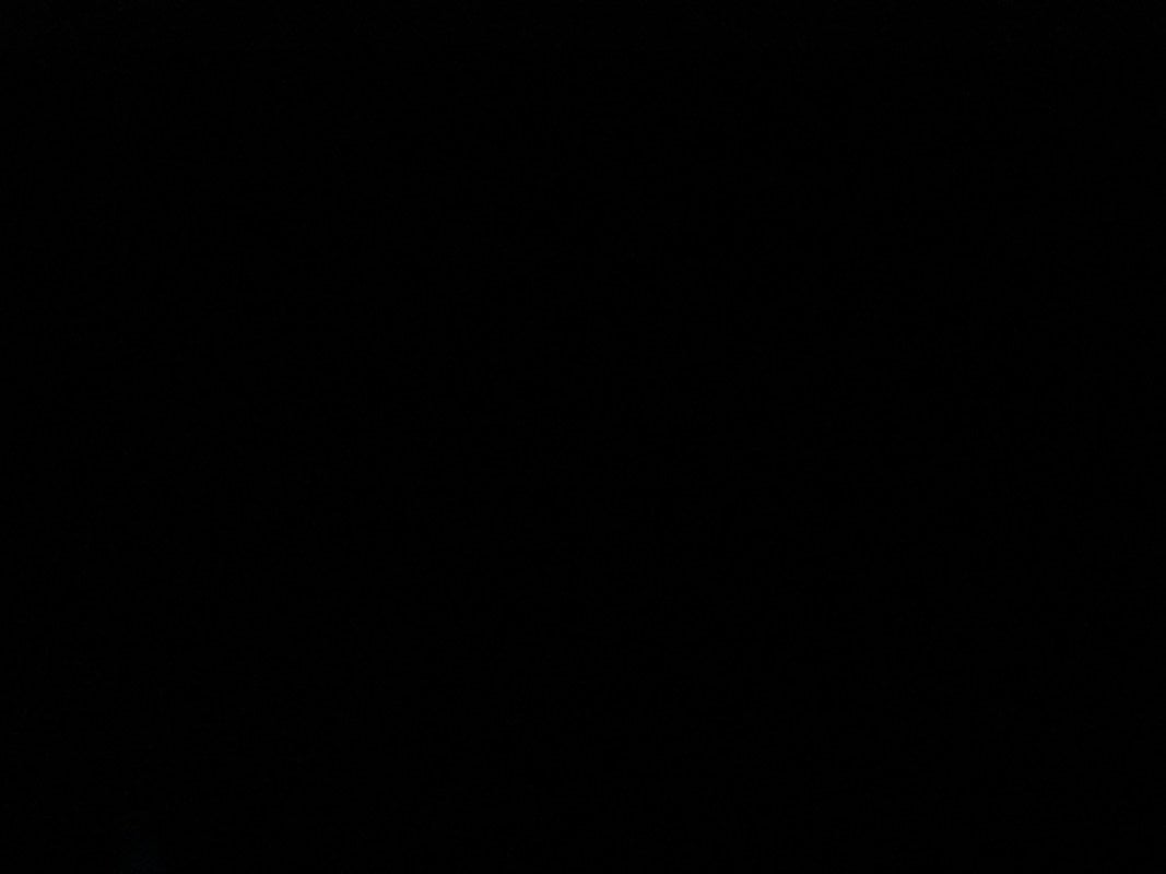 عبدالله الحربي