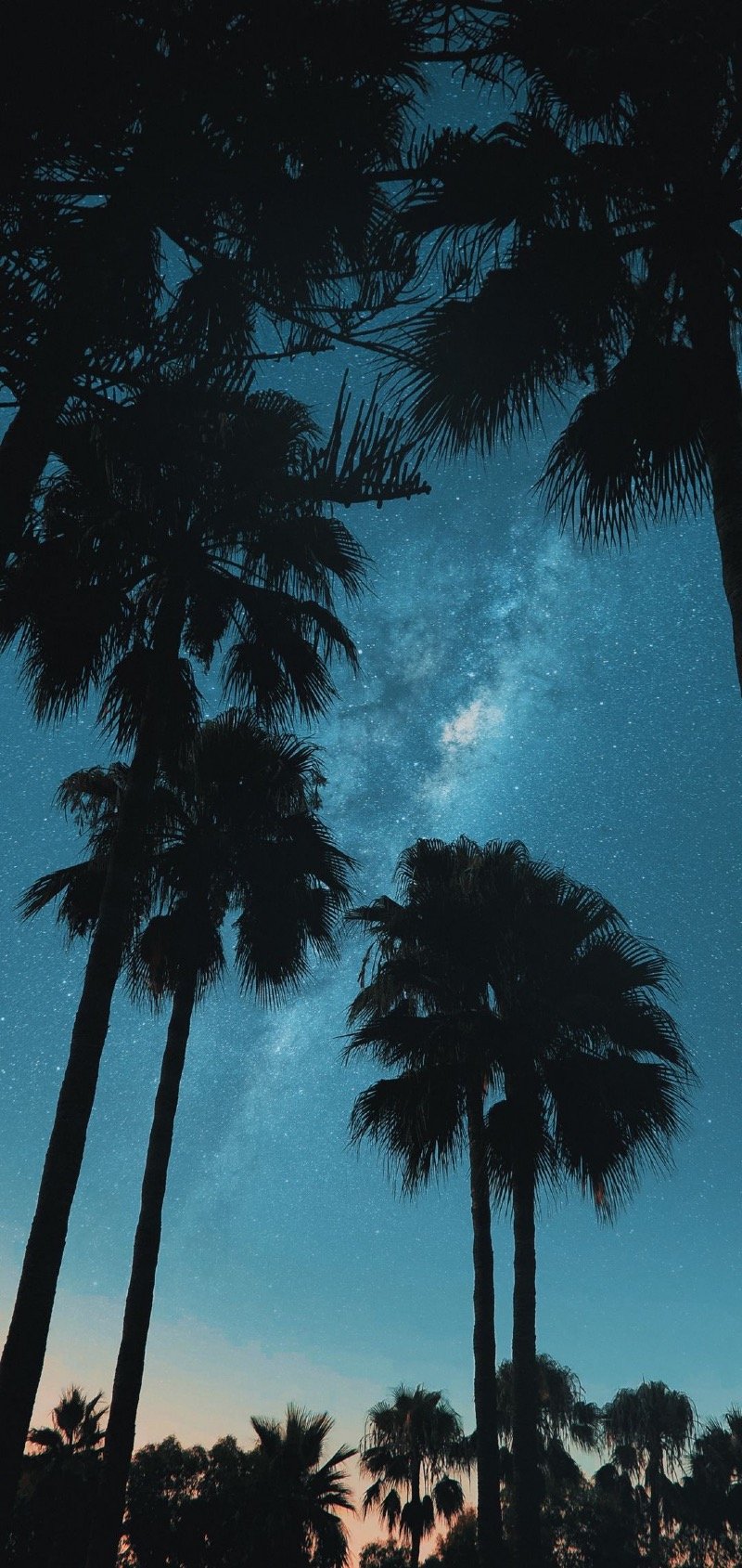 عبدالمحسن الطاهر