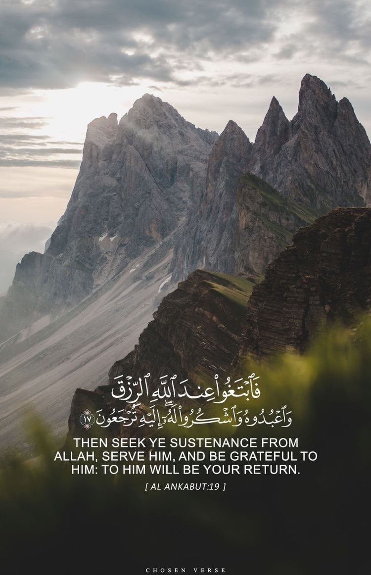 فراس عيسى علي الفيفي