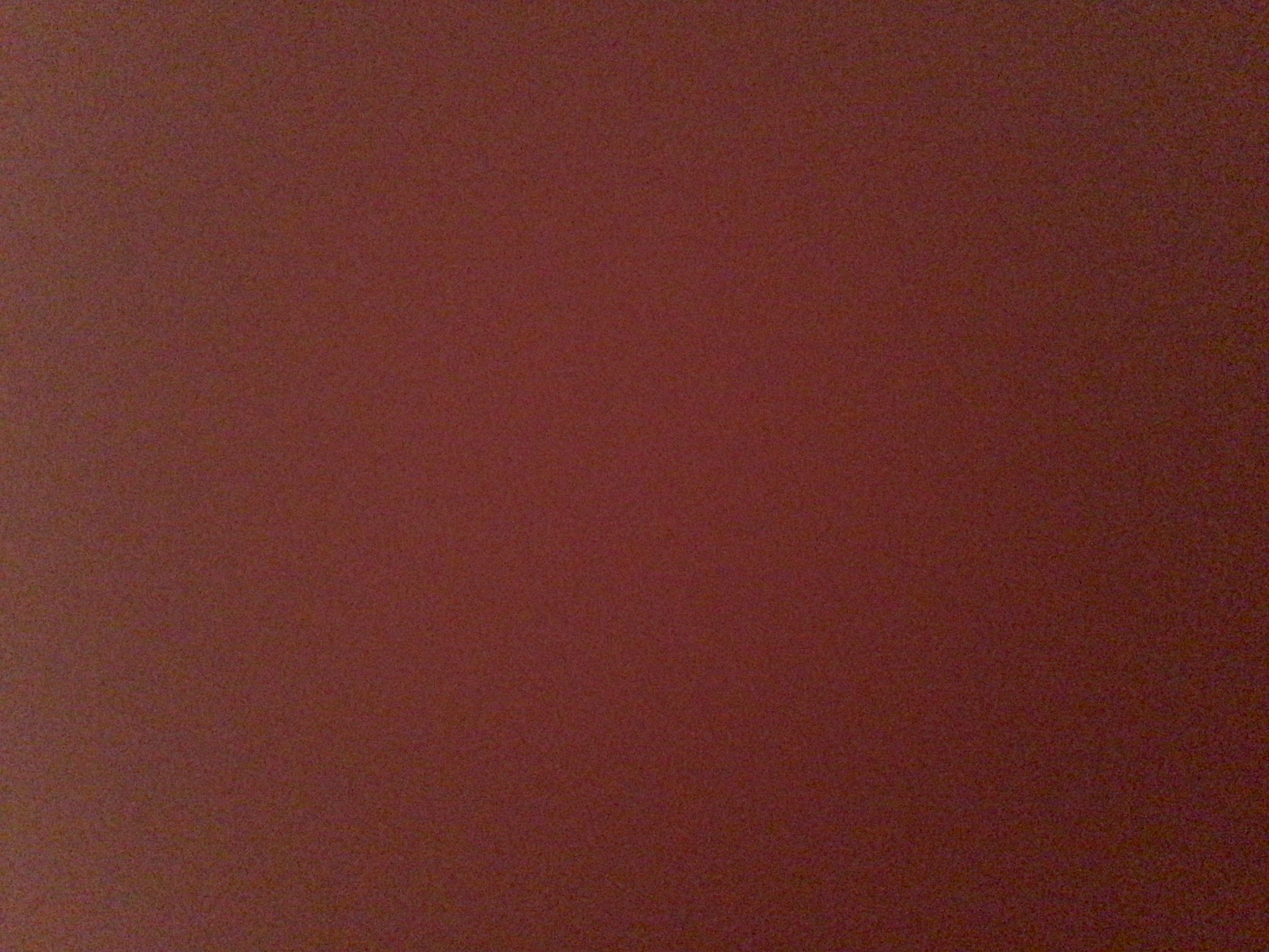 وسيم السلمي