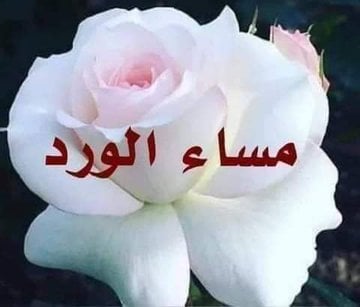 Abdullah بن صقر