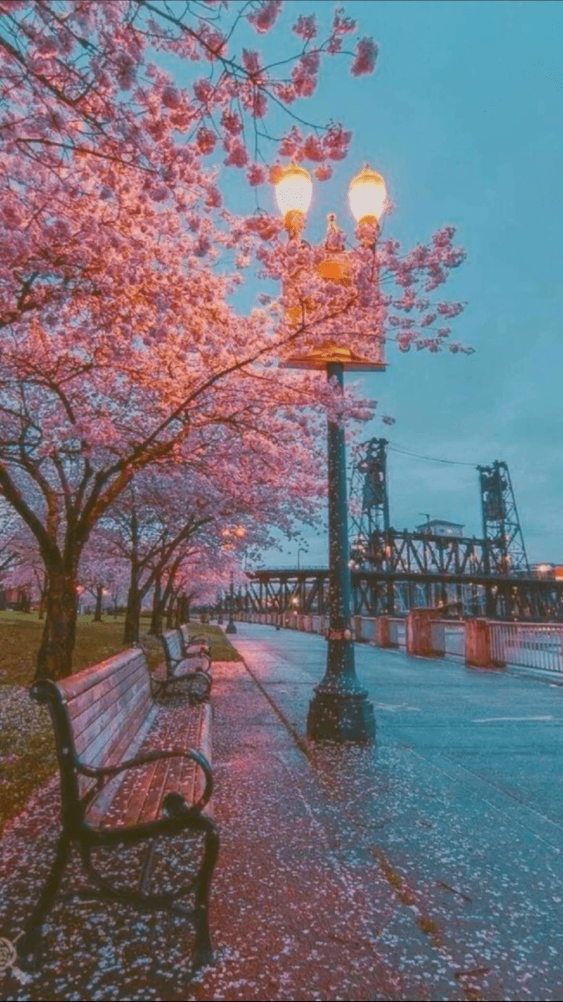 فوزية العتيبي