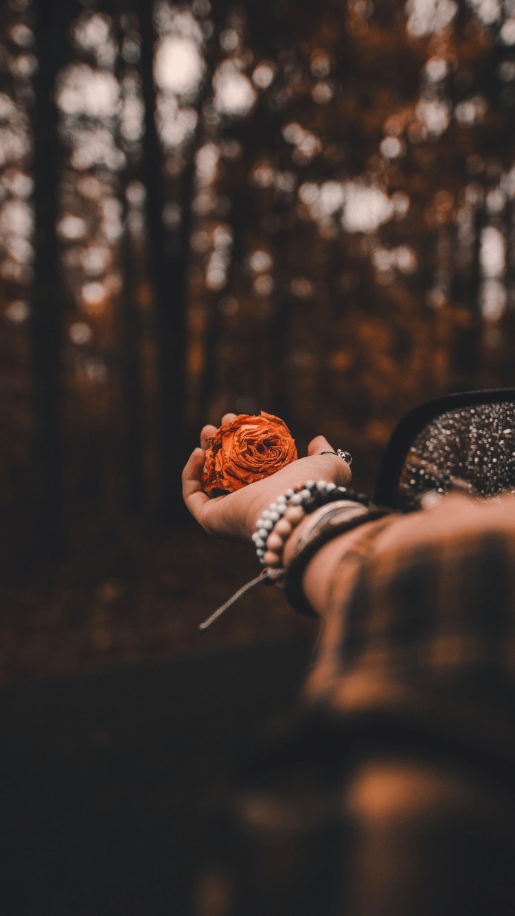 محمد الحربي