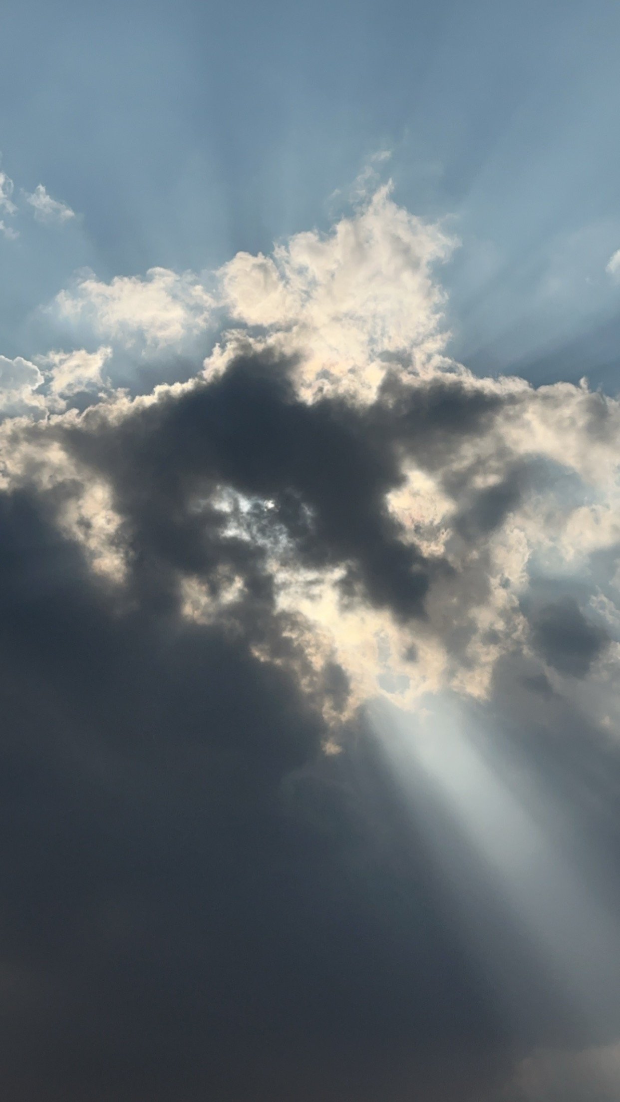 بدور عبدالرحمن