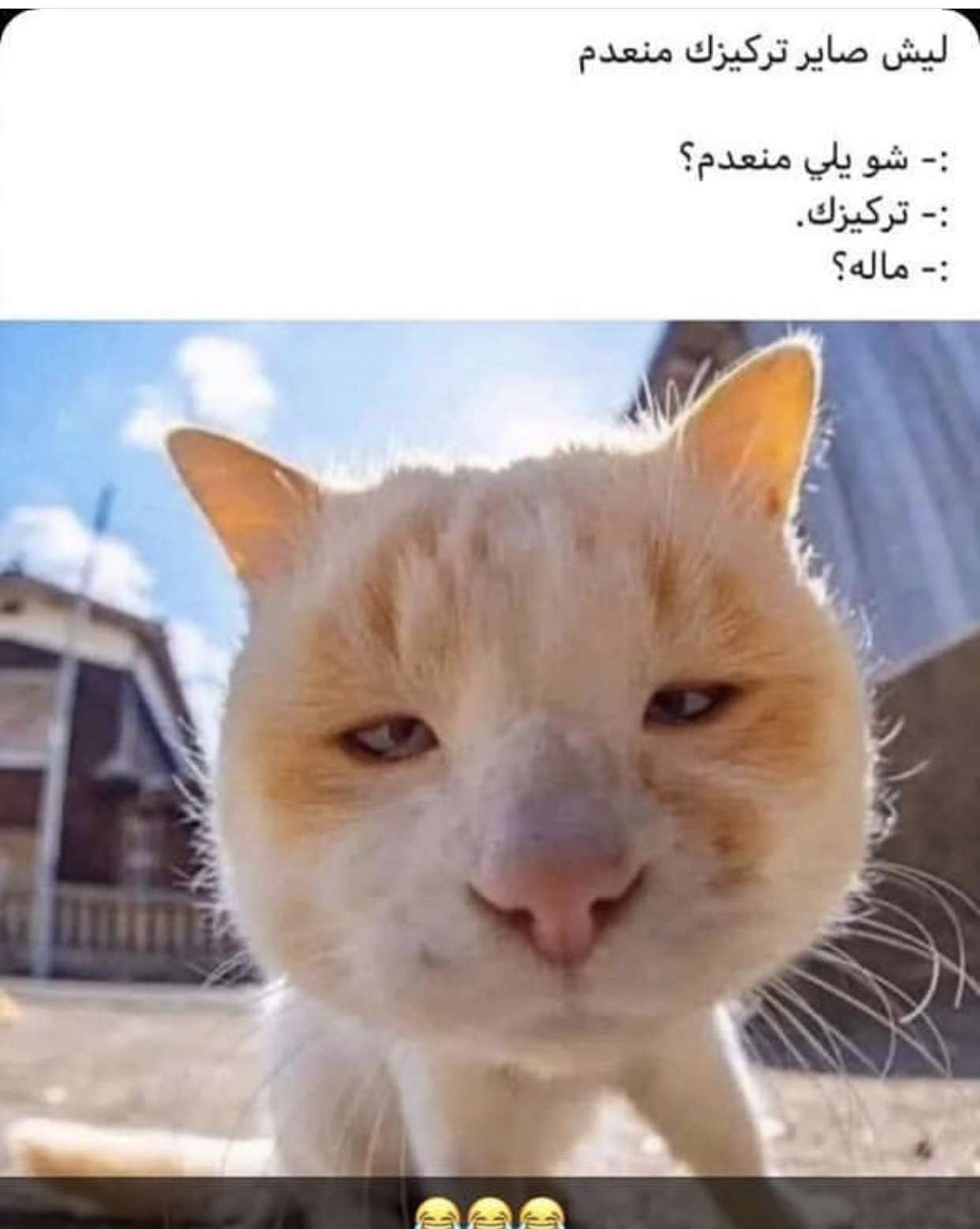 customer