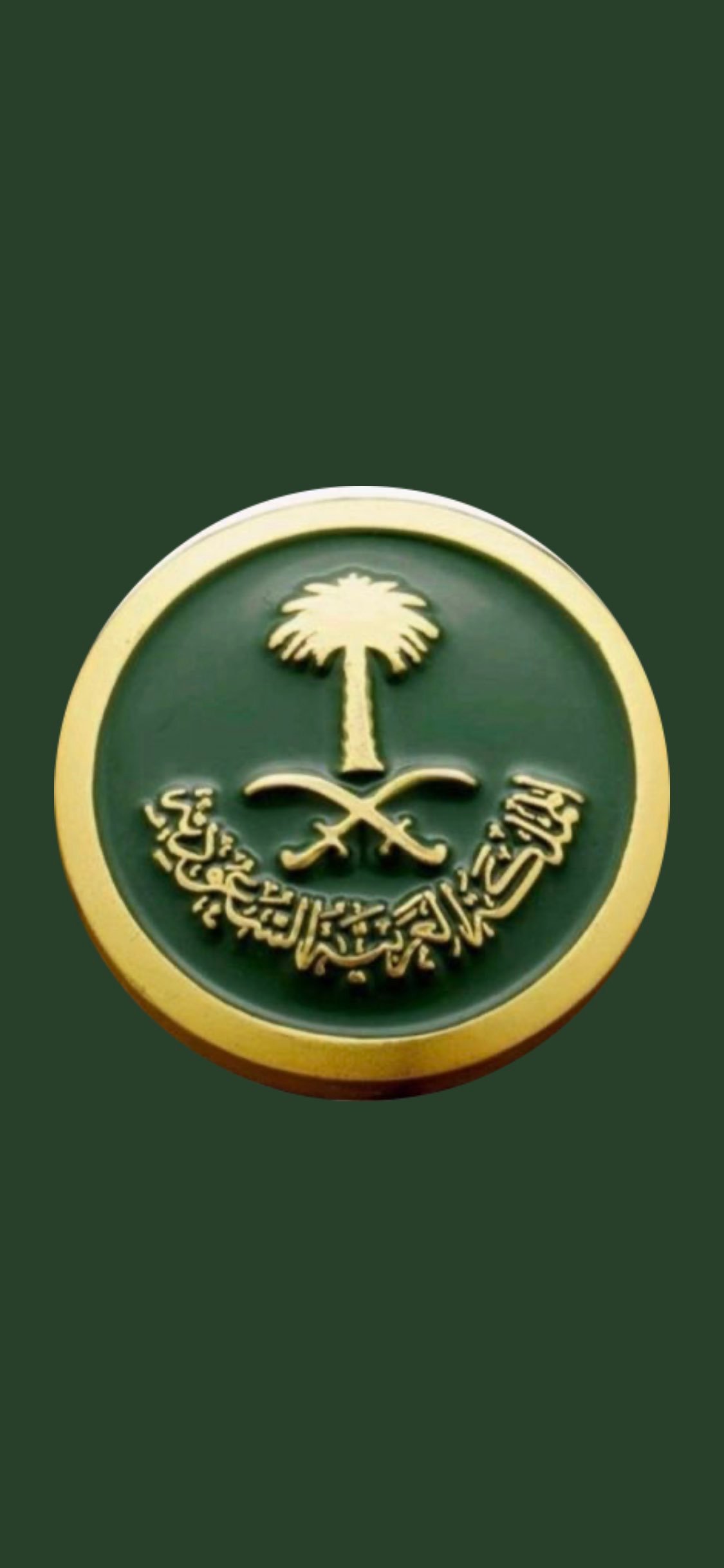 ناصر الهويشل