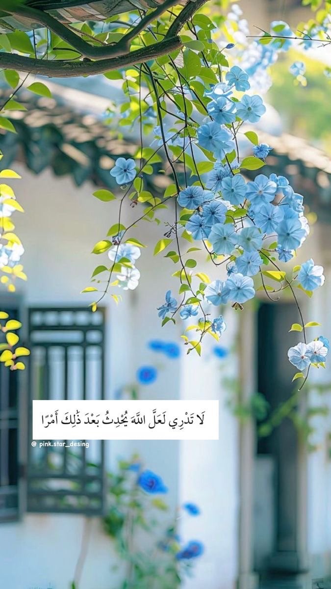 منى السويلم