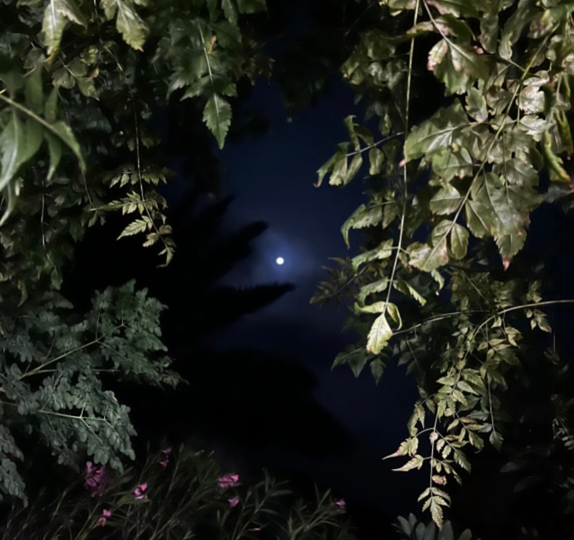 العنود الزهراني