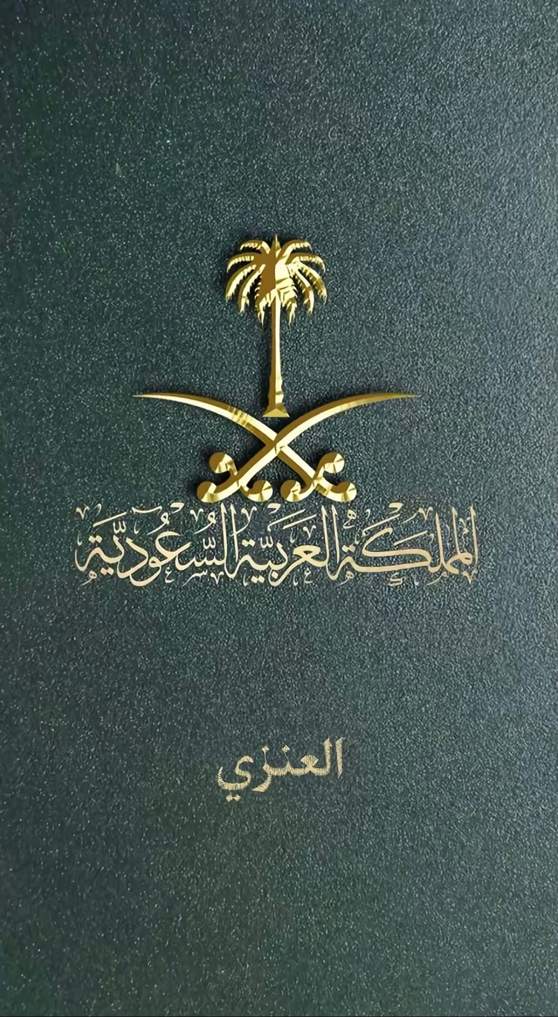 نايف العنزي