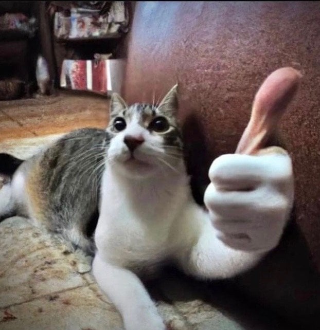 ماجد العلياني