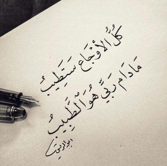 علي ال ناصر