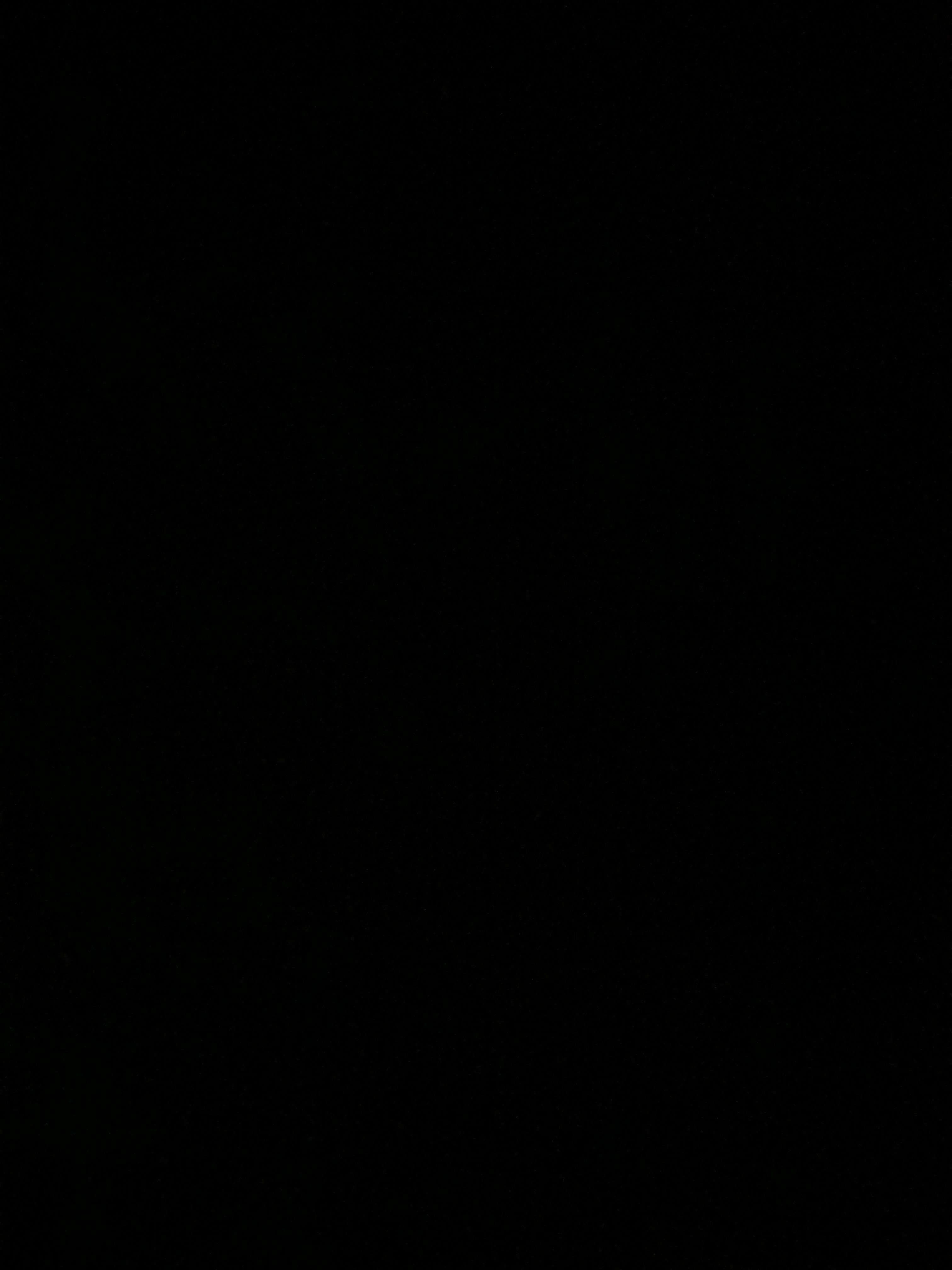 ابوبكر مرتضى