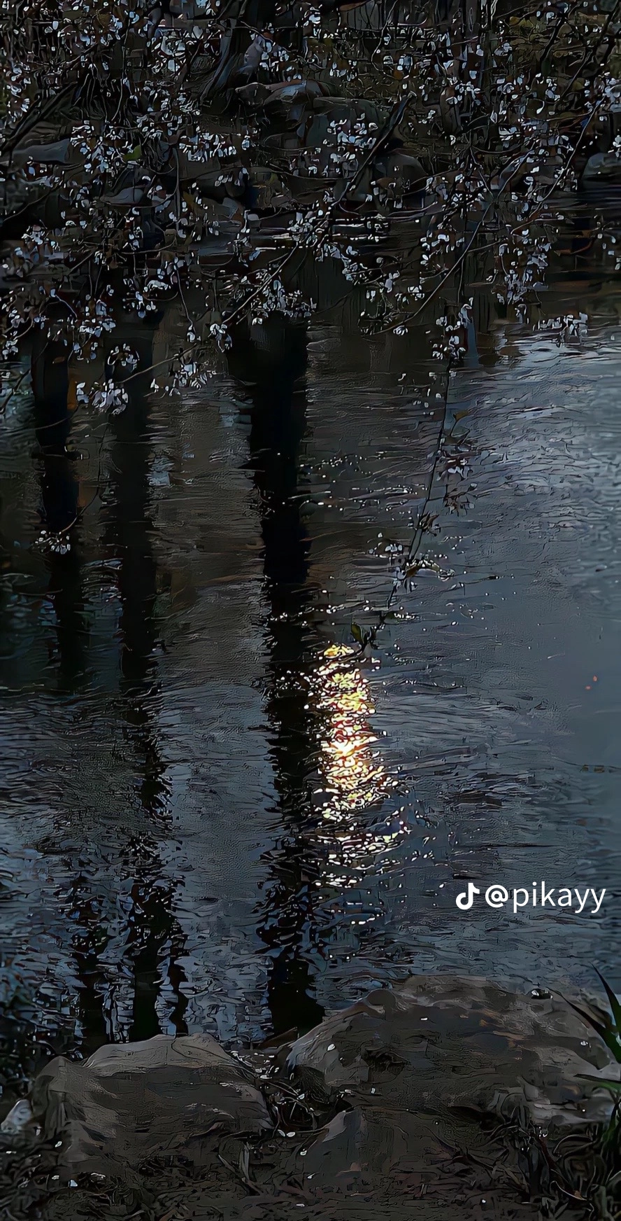 ريم محسن خردلي