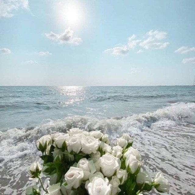 العبيدان عبدالرحمن