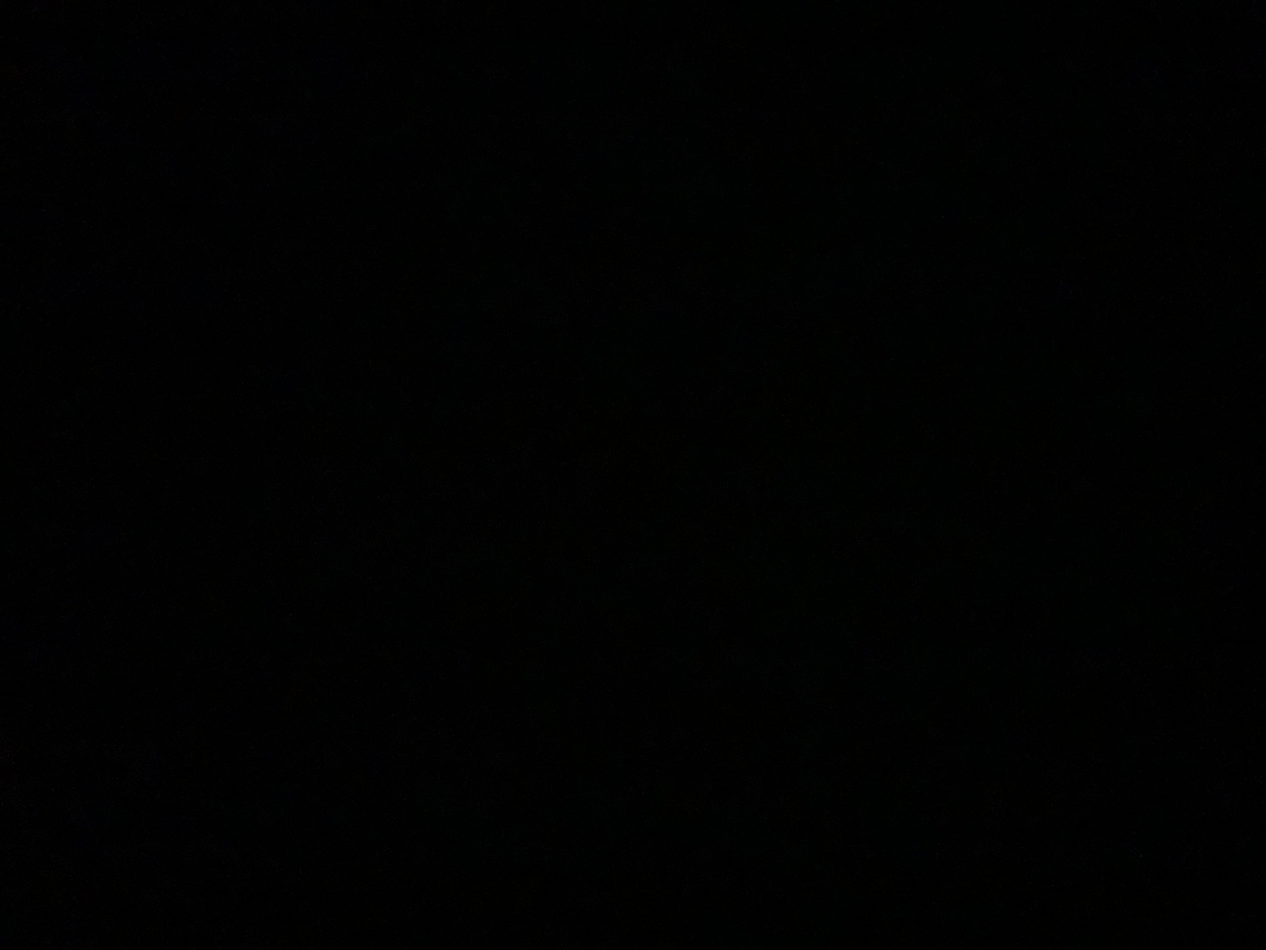 احمد الصبحي