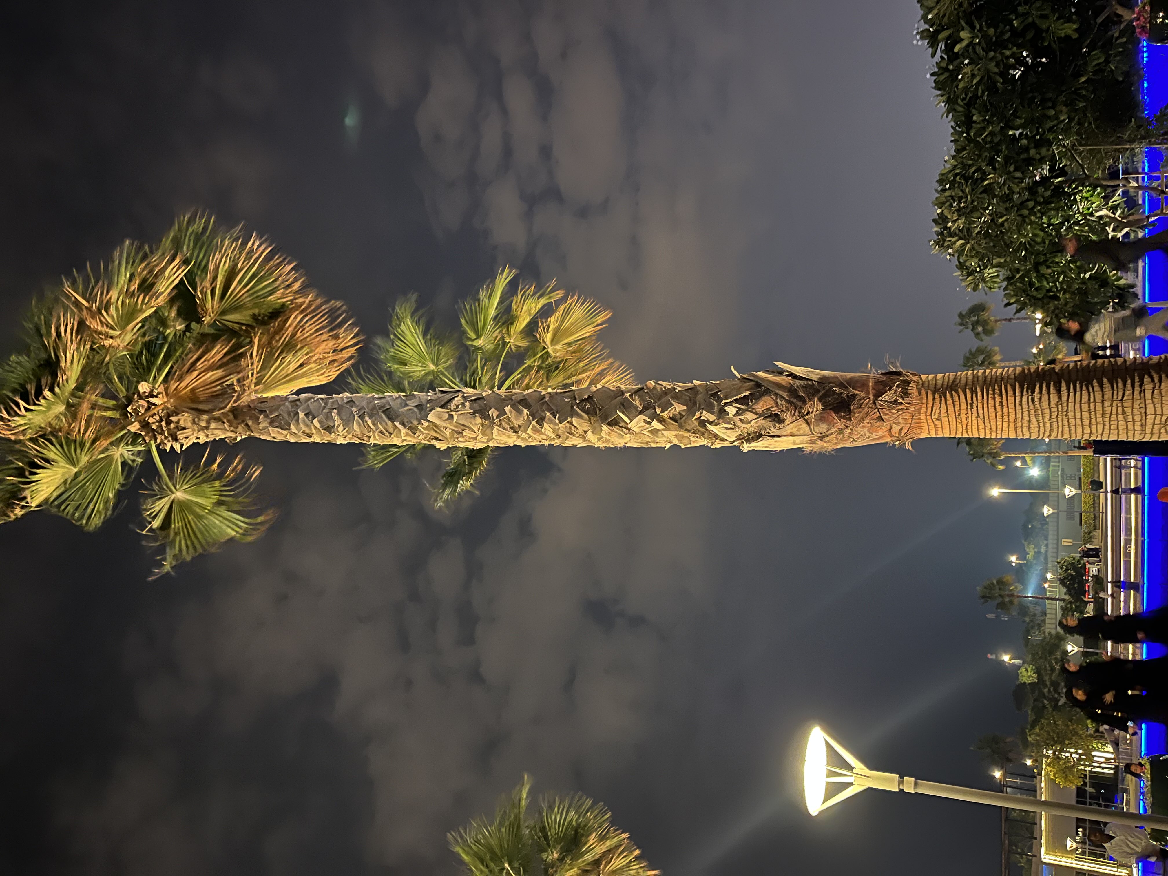 صابرين الحماده