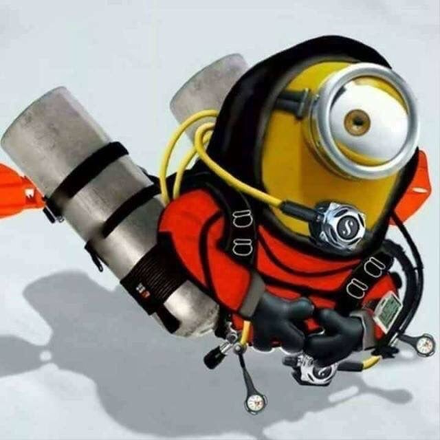 سالم النعماني