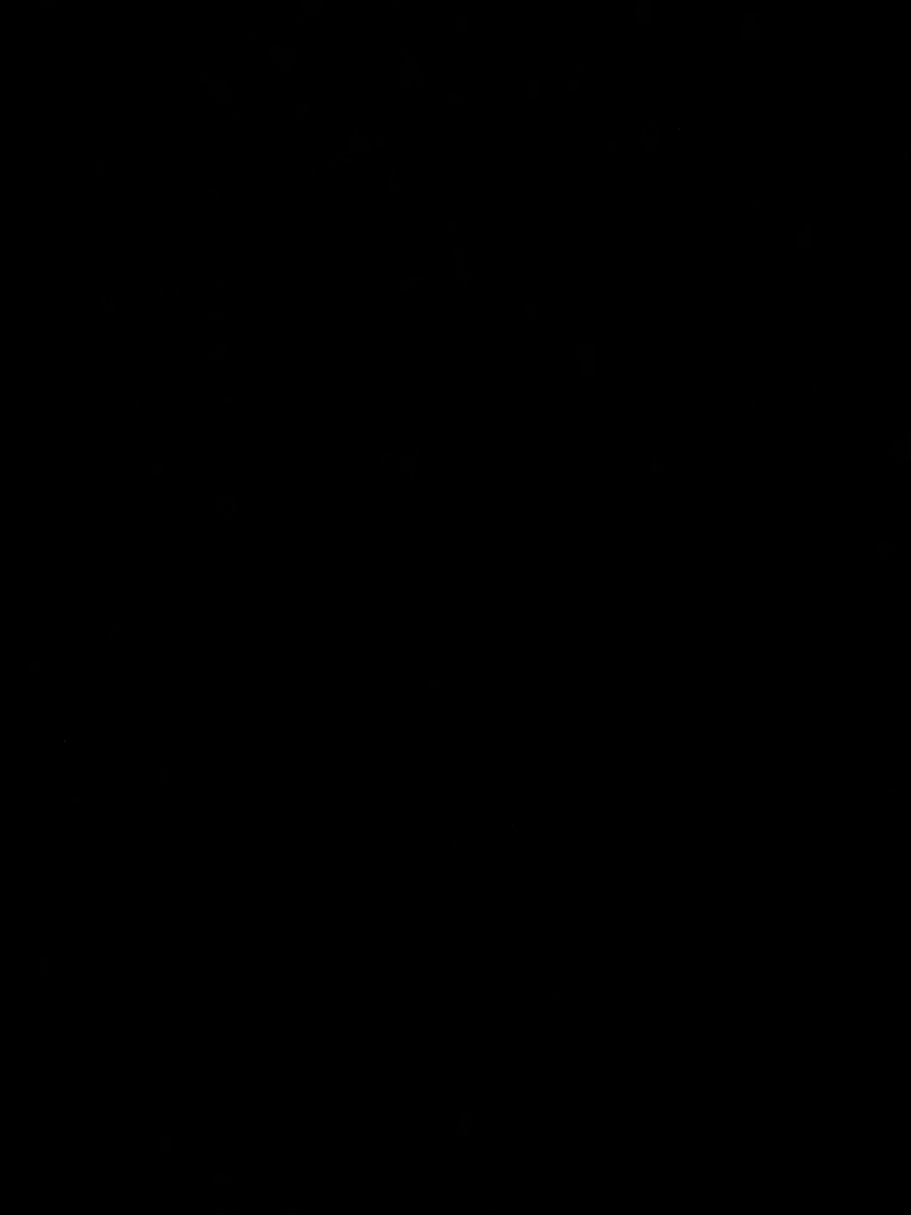 فهد السميدع