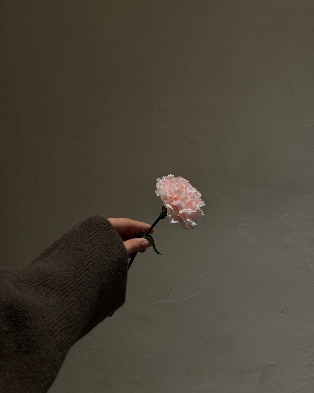 Hajar Aljaser