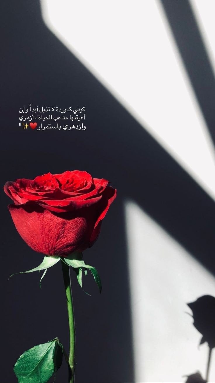 فوزية القرني