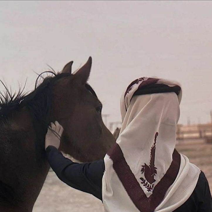 مهند الحربي