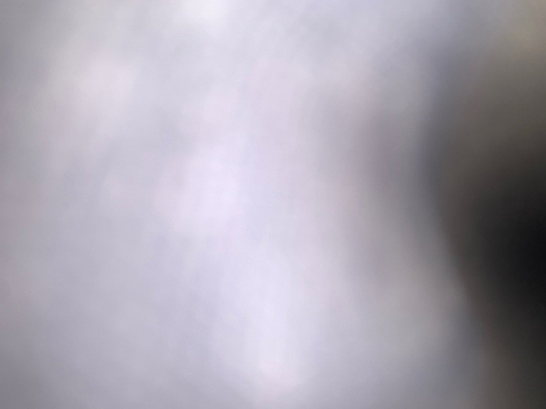 فيصل الربيع