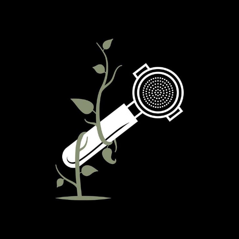 مجاهد الهذلي