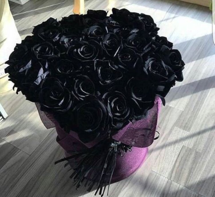 ميعاد الحربي