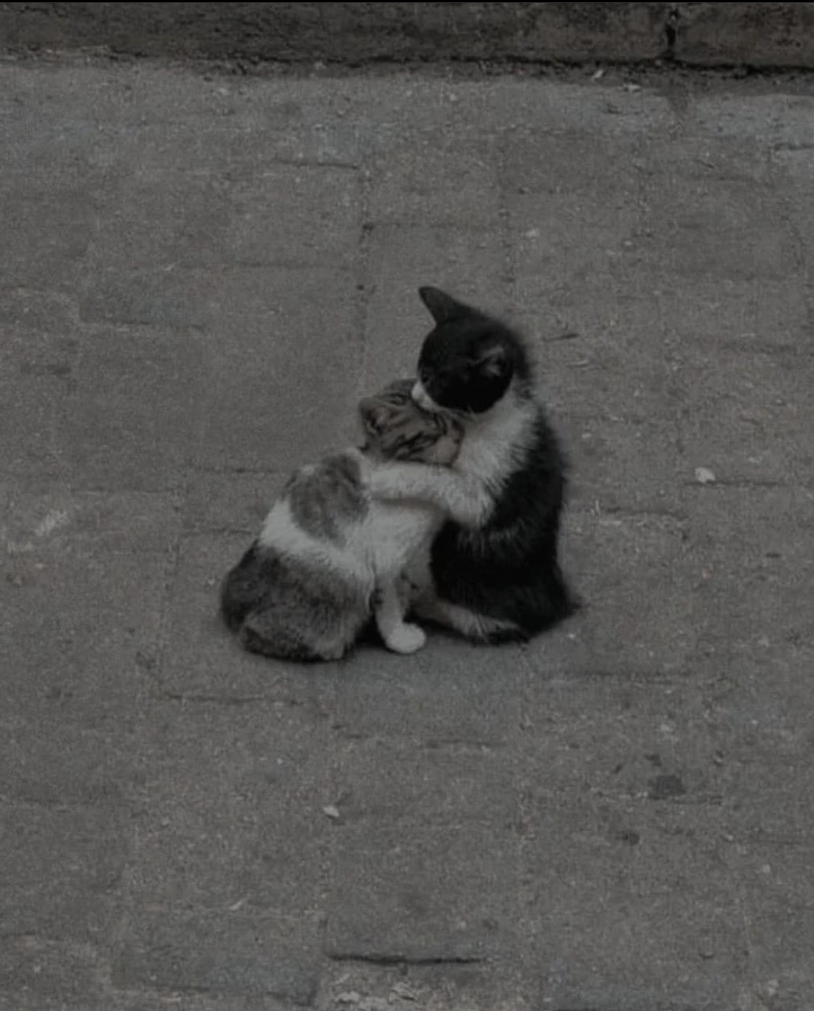 غدي الدوسري