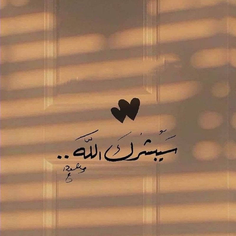 سلمان المالكي