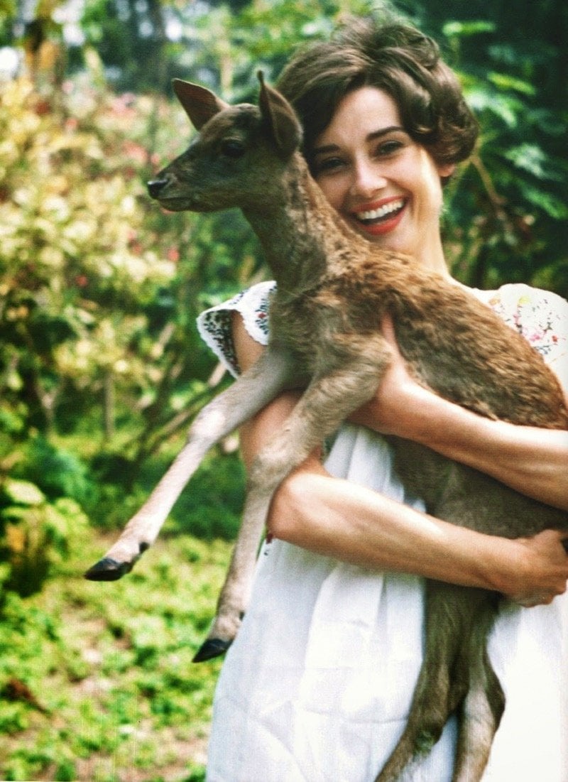 أحلام الشعلان