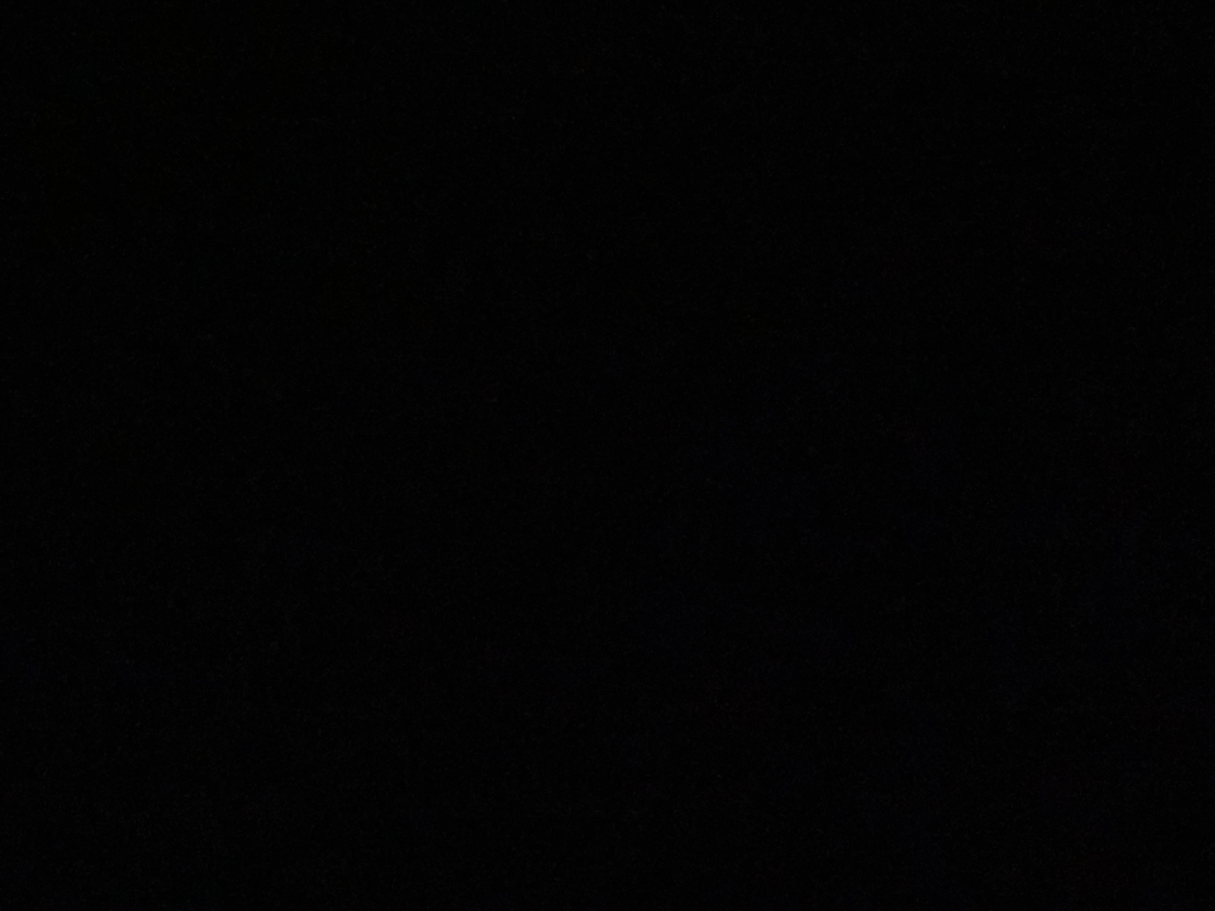 فيّ المطيري