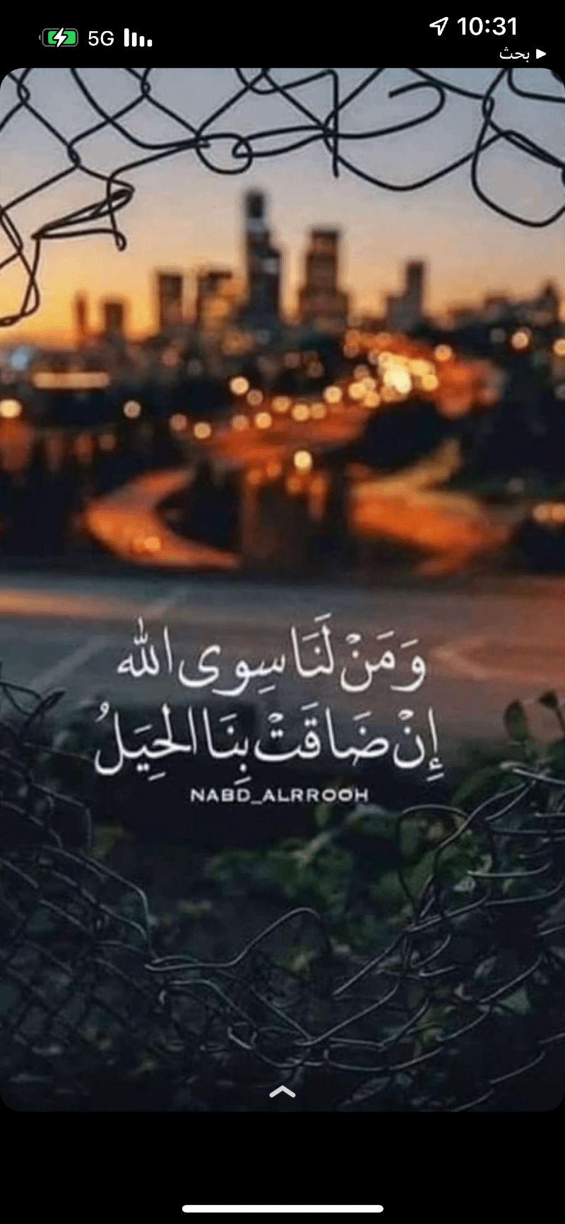 عبير ناصر ناصر