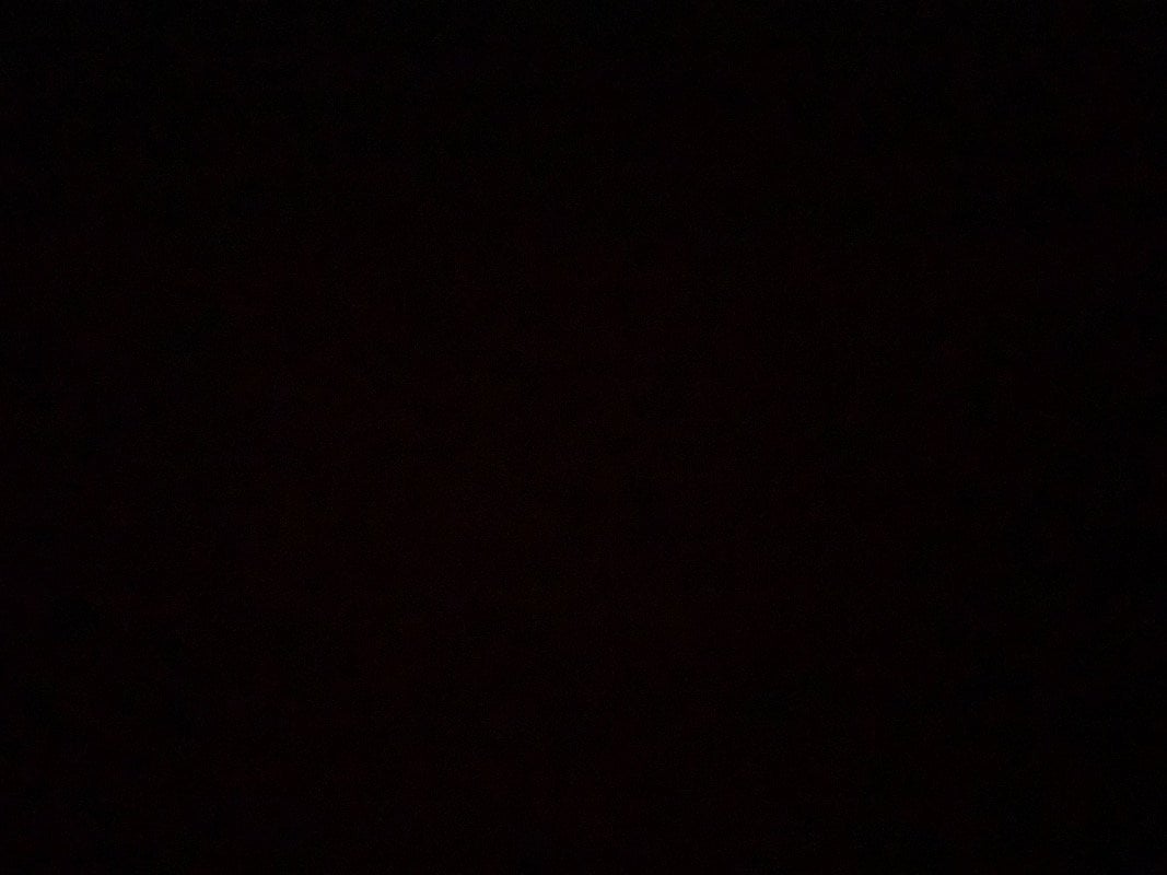 يزن البلوي