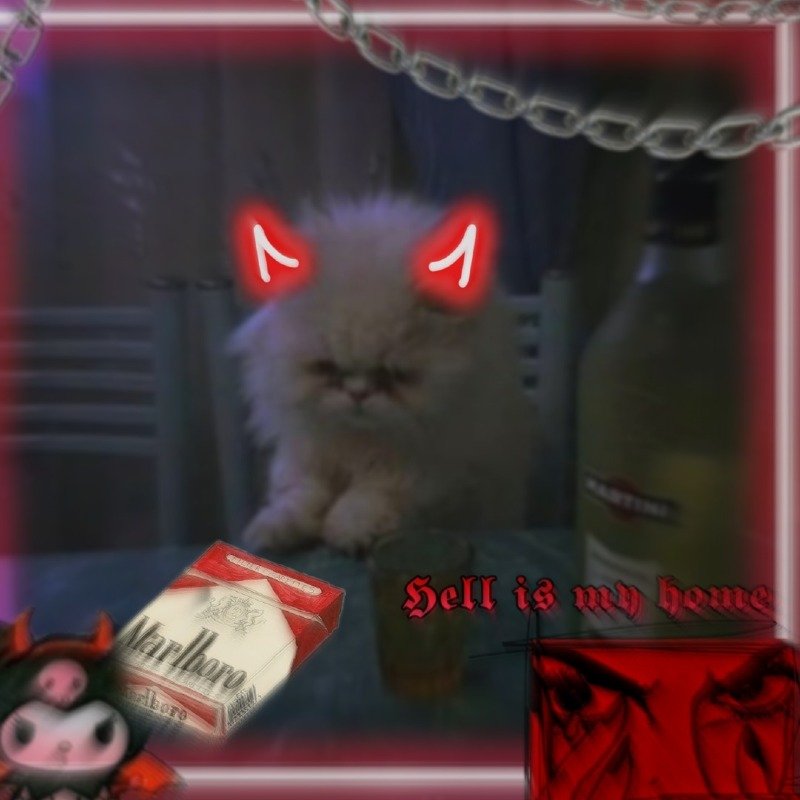 راكان الدوسري