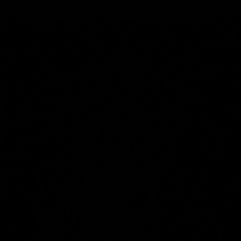 محمد الشهري