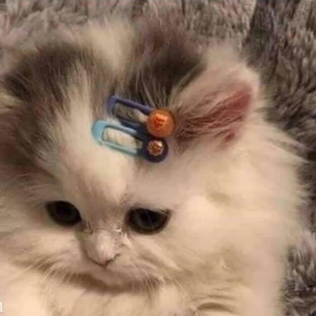 سماح الحربي