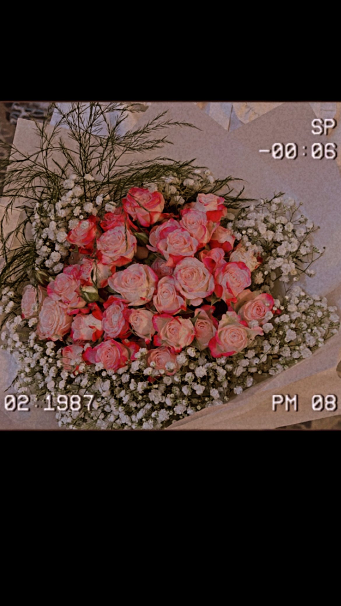 نوره خبراني