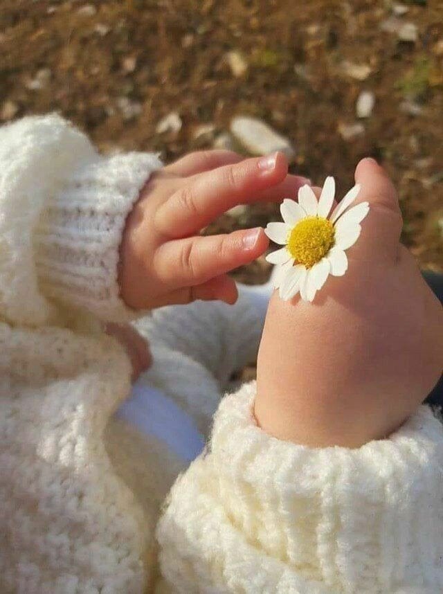 حلا آل يزيد