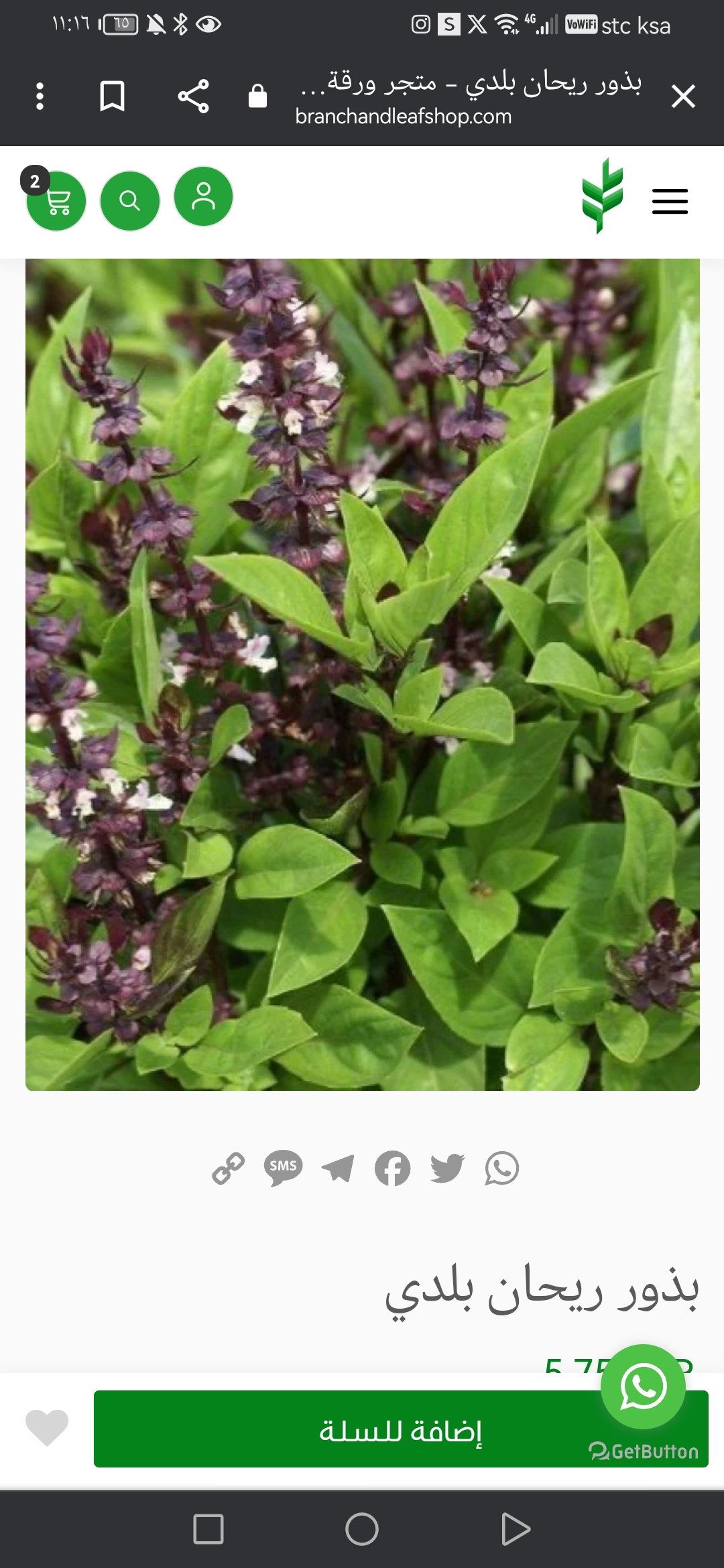 نجوى القرني