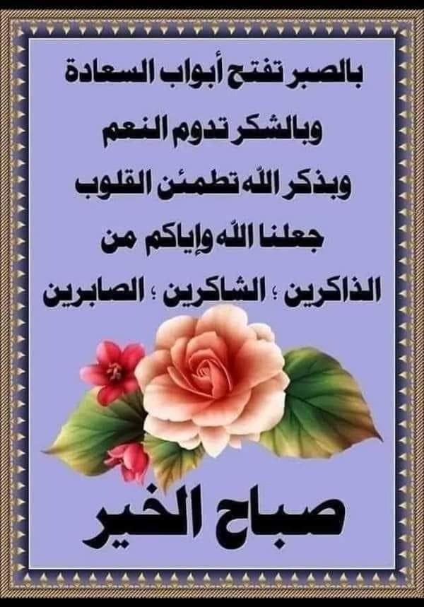 BAHAA IDRIS