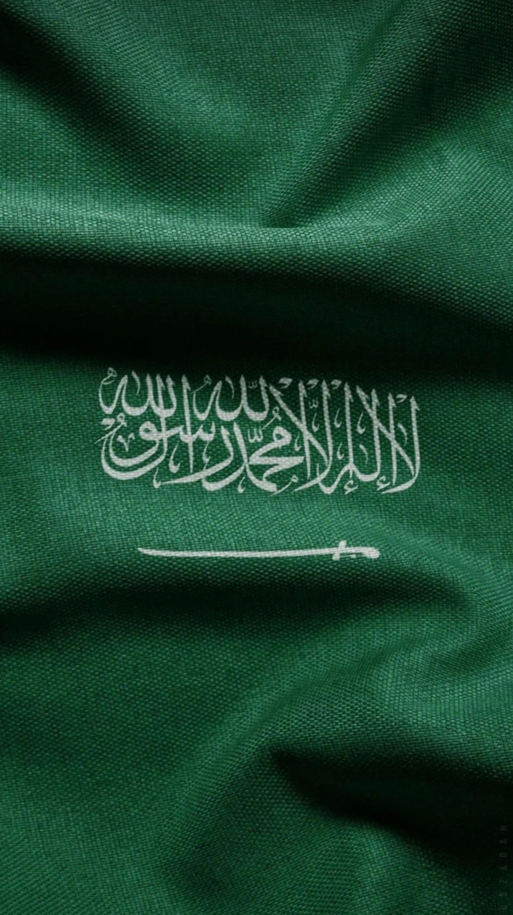 فاطمة محمد