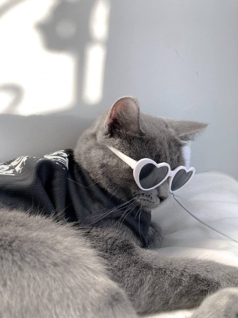 ديما الغامدي