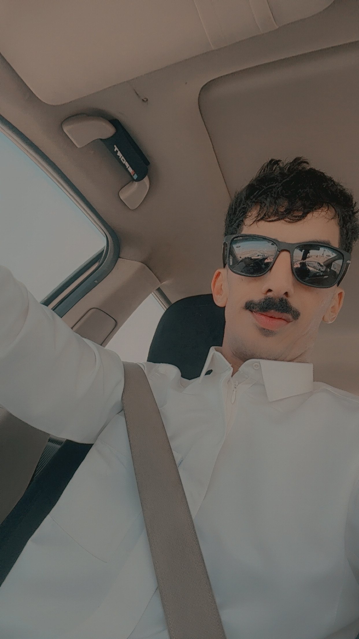 سالم اللبدي