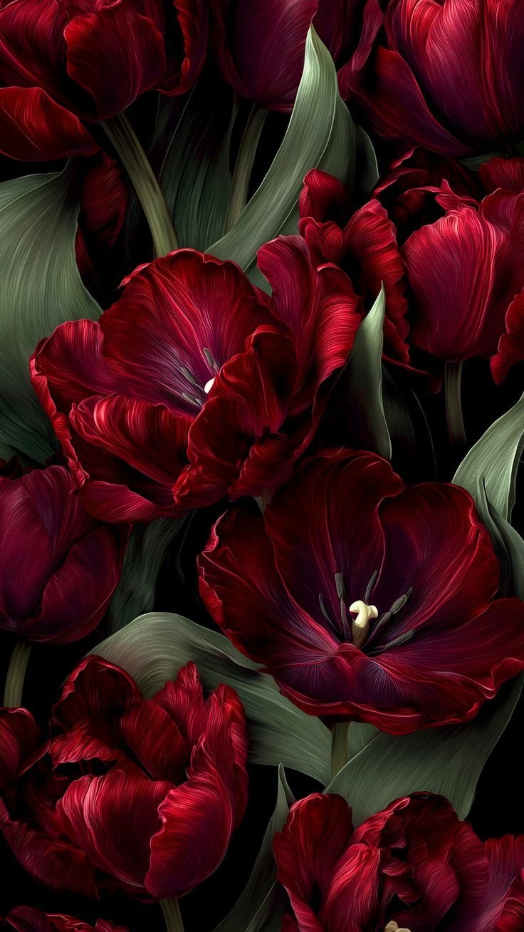 ALAA MANSOUR SHAYEA MANSOUR