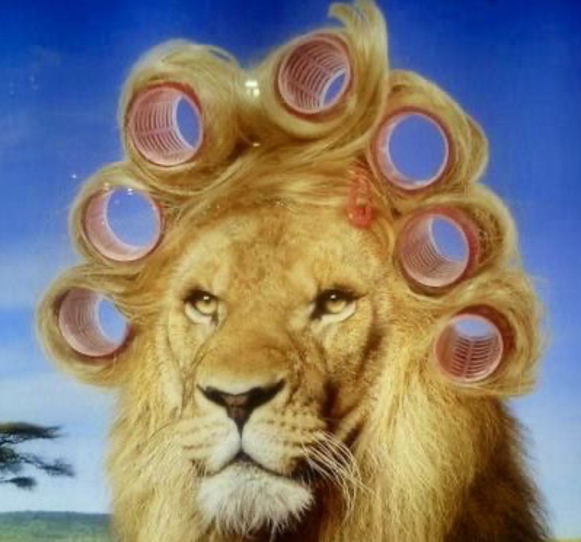 الجوهره الشمري