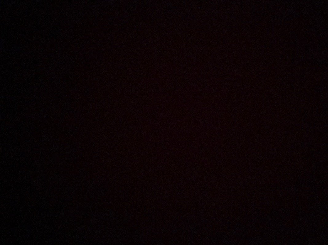 حسن الحساني