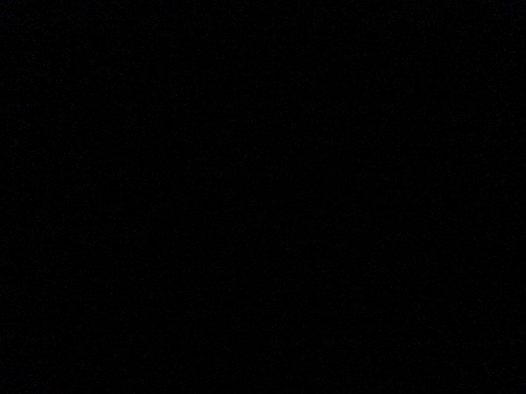 عبدالمعز بدوي