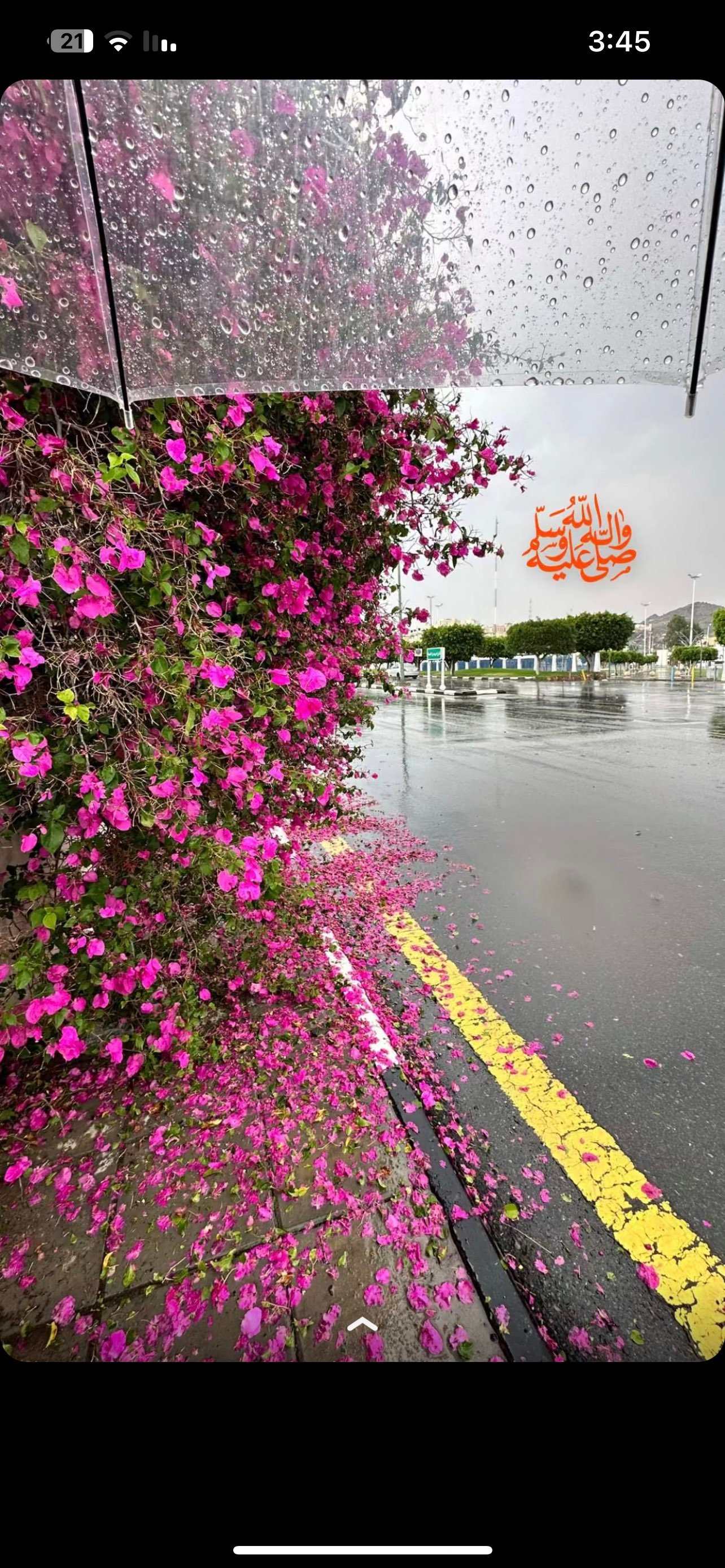 مها العتيبي
